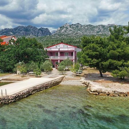Villa Rajna Starigrad Paklenica Dış mekan fotoğraf
