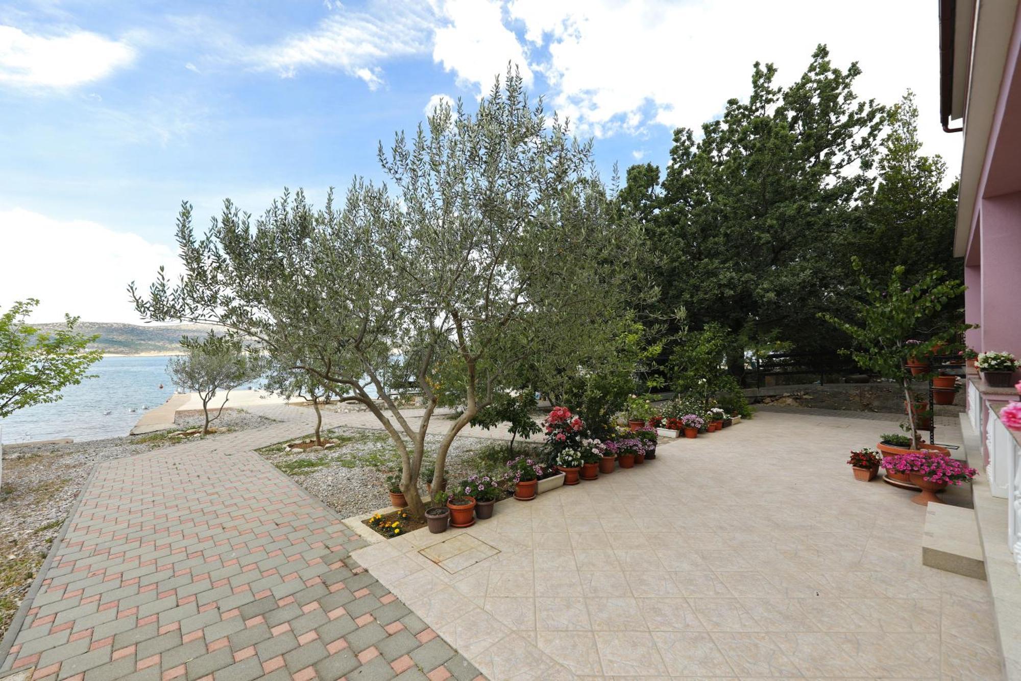 Villa Rajna Starigrad Paklenica Oda fotoğraf