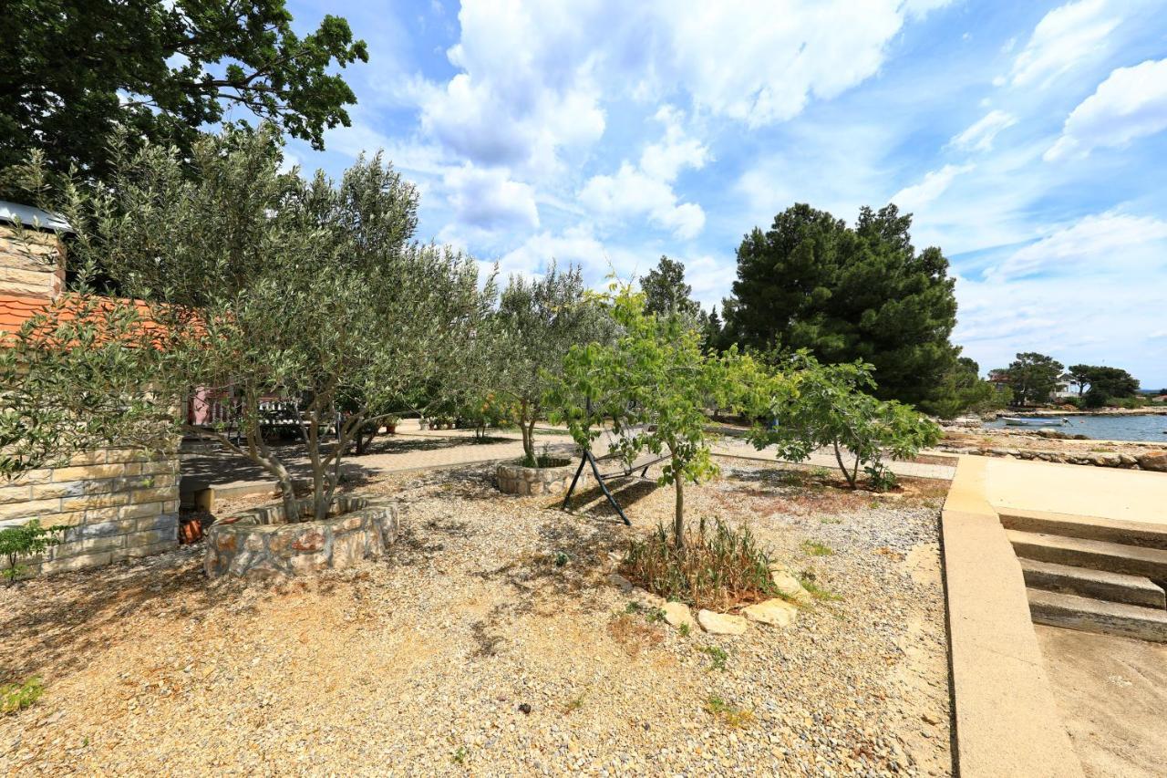 Villa Rajna Starigrad Paklenica Dış mekan fotoğraf